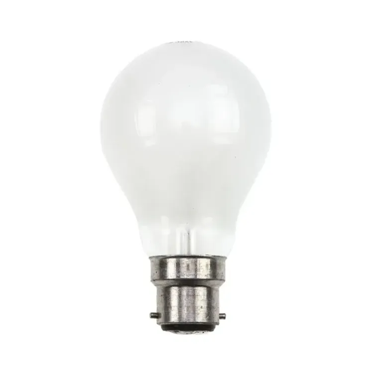 100W B22 110V PEARL ROUGH SERVICE
