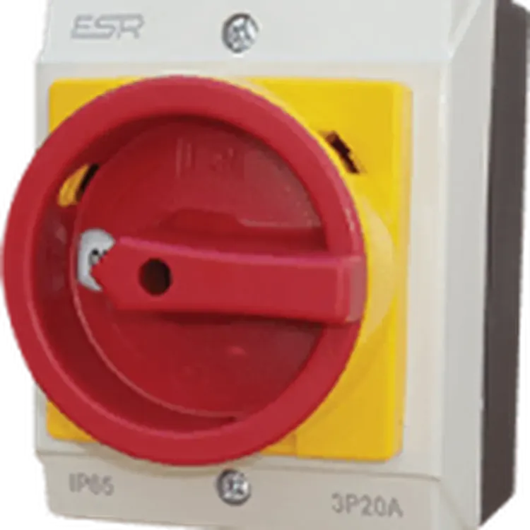 E323P - 3 Pole 32A Isolator IP65 ESR