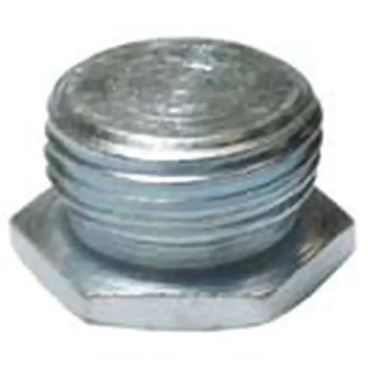 BK25 - 25mm Galvanised Conduit Hexagon Plug
