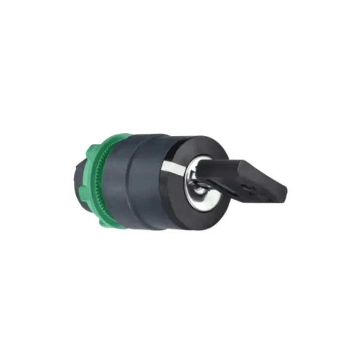 Telemecanique 22mm Harmony XB5 2 Position Key Switch Head
