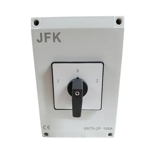100A 2P changeover switch IP65 front view showing three position handle
