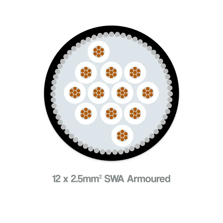 2.5mm² 12 core SWA armoured cable - black LSZH sheath, showing multi-core structure and steel wire armour