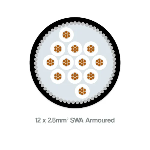 2.5mm² 12 core SWA armoured cable - black LSZH sheath, showing multi-core structure and steel wire armour