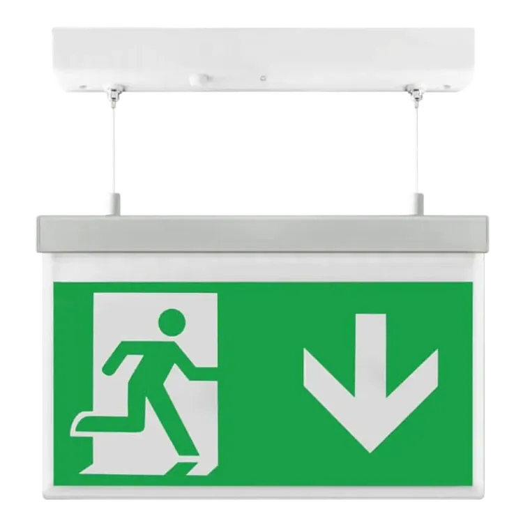 EMD2WMEXHSIGND - Emergency Hanging LED Exit Light Arrow Down ESPI