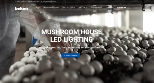 Image showcasing Beken Lights in a Mushroom growing environment