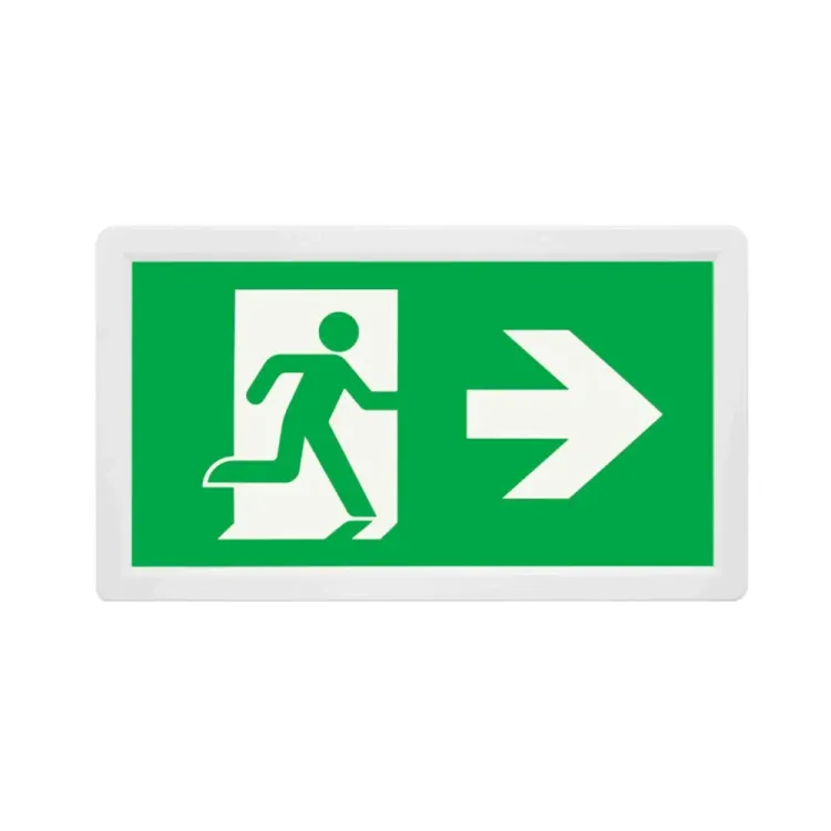 ESP EMD3WMSLEXBOXUDLR slim LED emergency exit sign with all legends