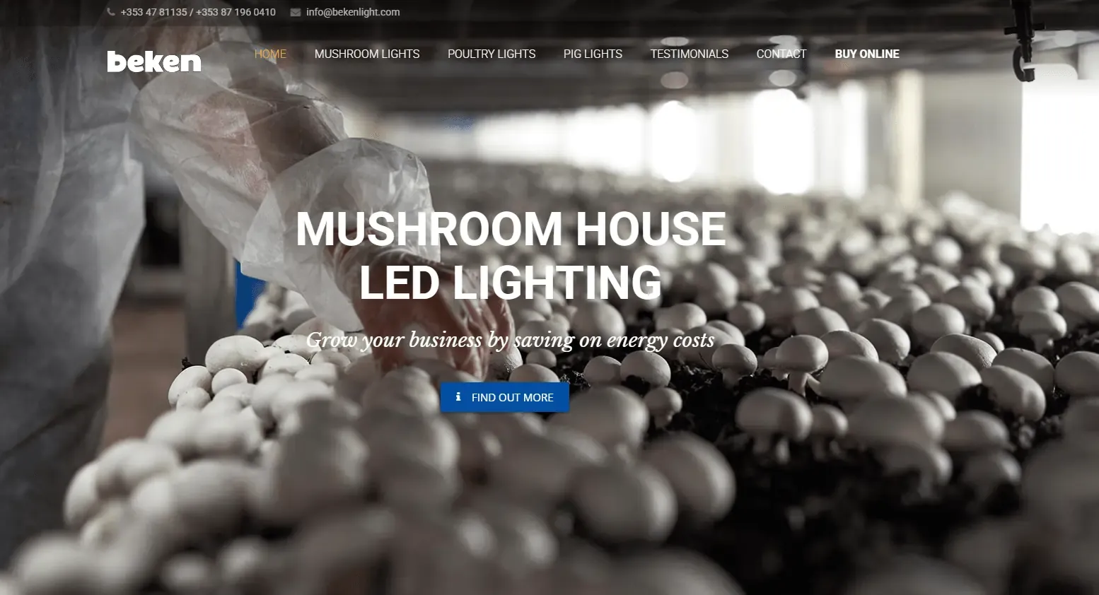Image showcasing Beken Lights in a Mushroom growing environment